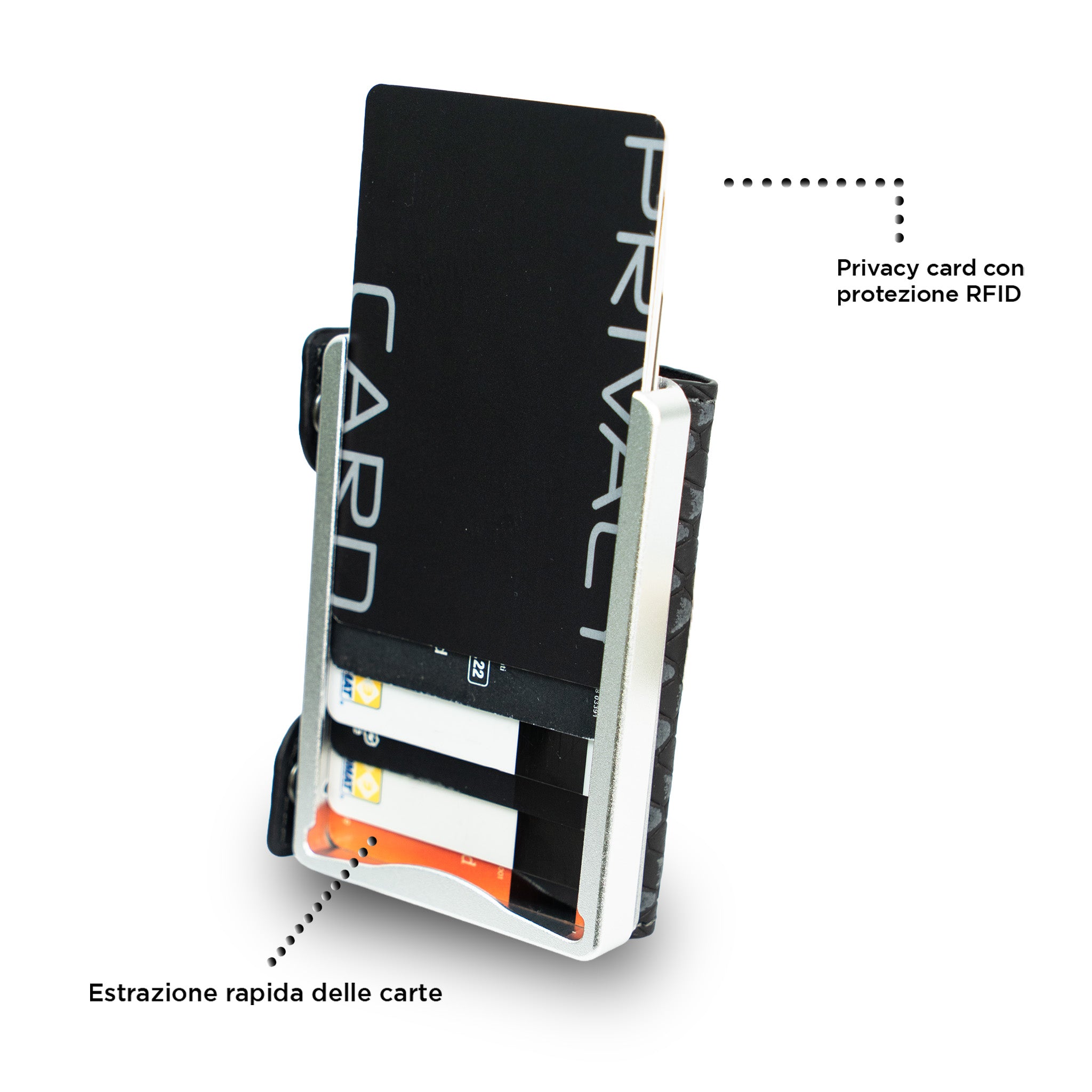 Be Tasck Stampa Squalo Blu